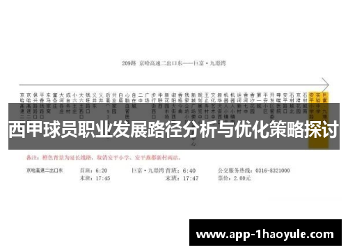 西甲球员职业发展路径分析与优化策略探讨