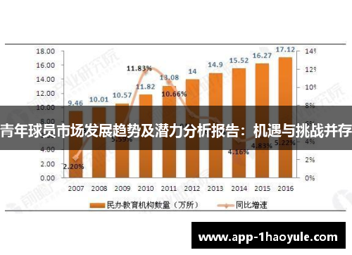 青年球员市场发展趋势及潜力分析报告：机遇与挑战并存