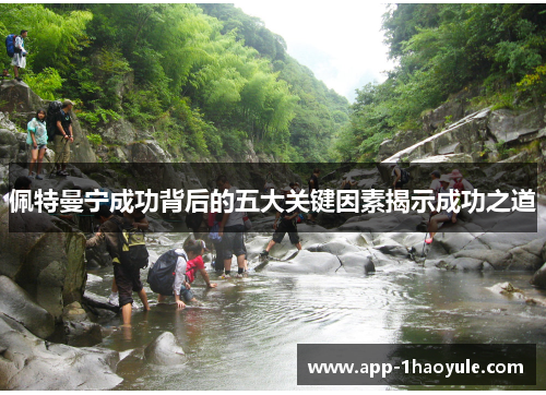 佩特曼宁成功背后的五大关键因素揭示成功之道